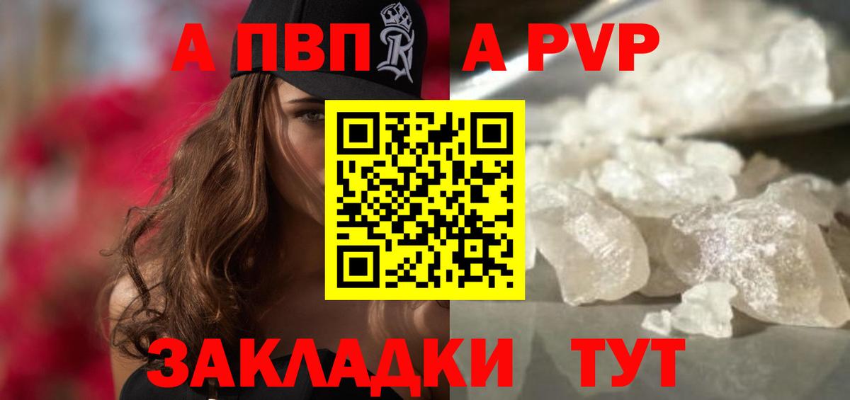 A PVP СК КРИС Горно-Алтайск