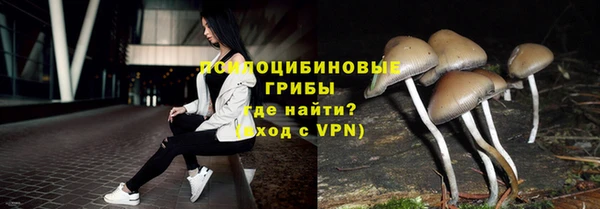 дживик Богородск