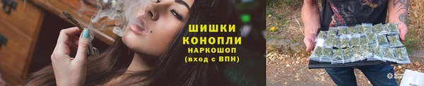 дживик Богородск