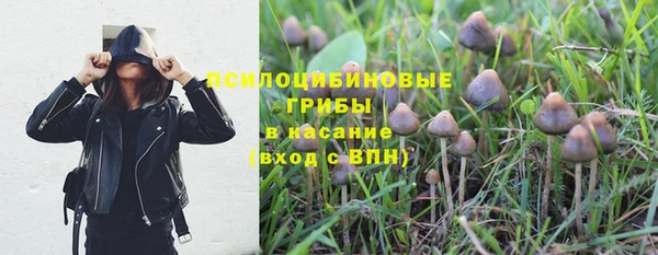 дживик Богородск