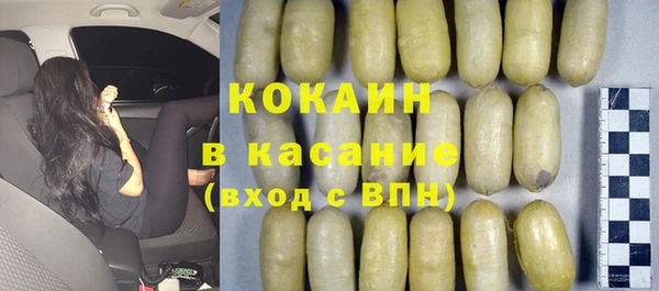 дживик Богородск