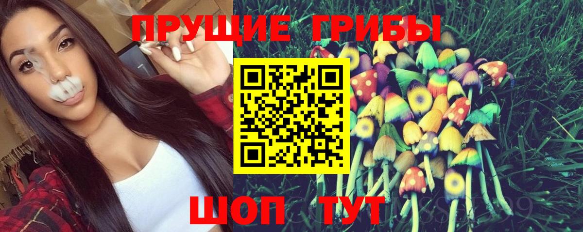 Галлюциногенные грибы Psilocybe Горно-Алтайск