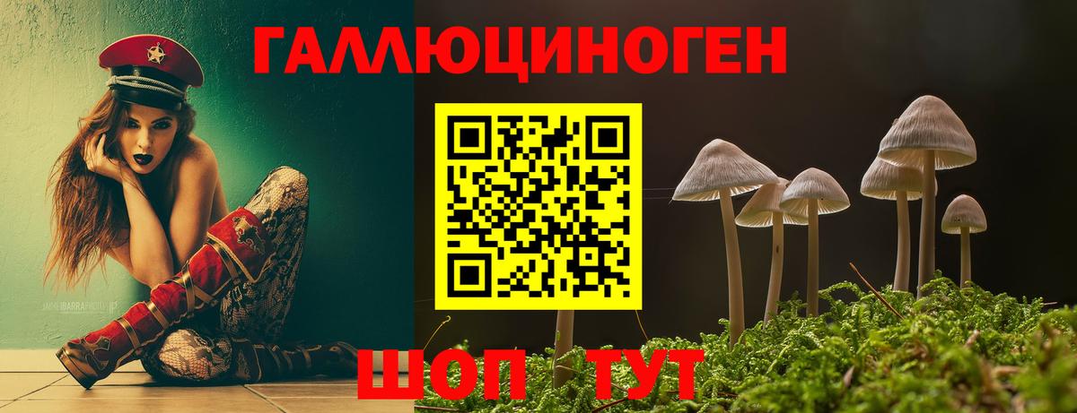 купить  сайты  Галлюциногенные грибы MAGIC MUSHROOMS  Горно-Алтайск  Вход с VPN  Галлюциногенные грибы Psilocybine cubensis 