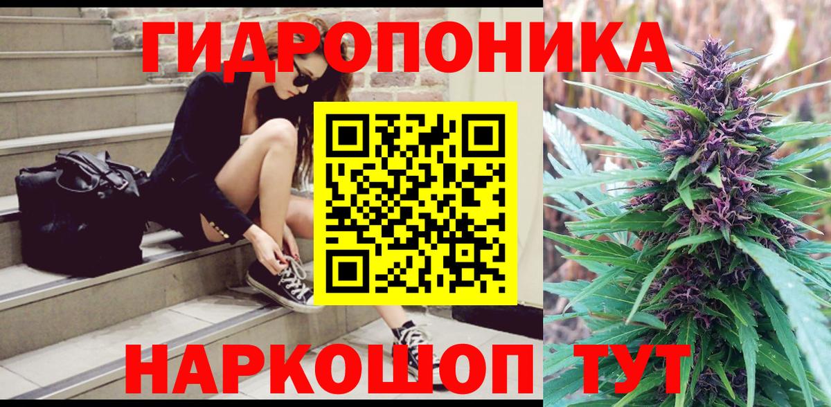 Бошки Шишки VHQ  МАРИХУАНА план  Горно-Алтайск 